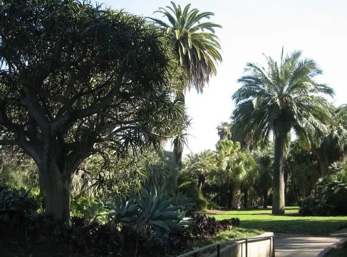 William Joseph McInnes Botanic Garden and Campus Arboretum, United States